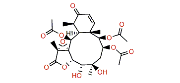 Briaexcavatolide Y